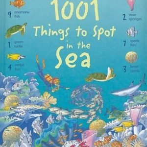 1001 Things to Spot in the Sea - Hardcover By Daynes, Katie - GOOD