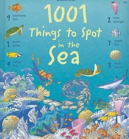 1001 Things to Spot in the Sea - Hardcover By Daynes, Katie - GOOD