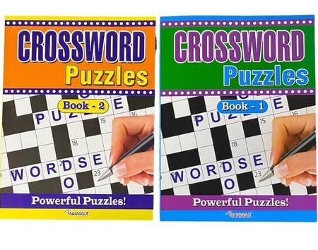 Brain Fun Picture Puzzles: Bundle of 2 - 63 Pages  & 5 Categories of Fun In Each