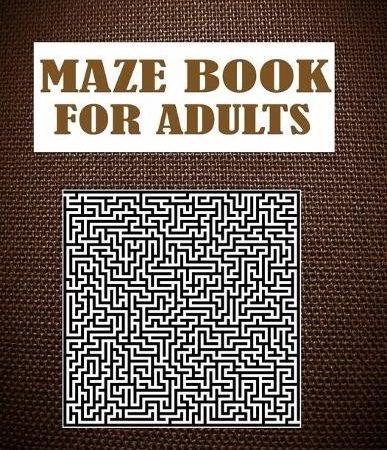 Warren Hugo Maze Book For Adults (Paperback) (UK IMPORT)