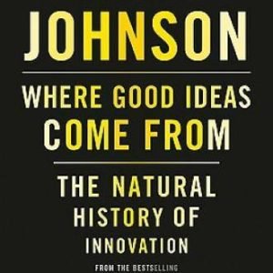 Where Good Ideas Come From: The Natural History of Innovation - VERY GOOD