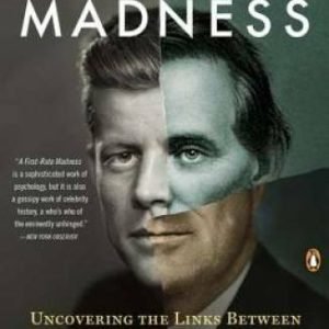 A First-Rate Madness: Uncovering the Links Between Leadership and Mental  - GOOD