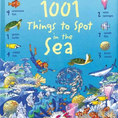 1001 Things to Spot in the Sea - hardcover Daynes, Katie