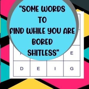"Some Words to Find While You Are Bored Shitless": Word Puzzle Book For Adults &