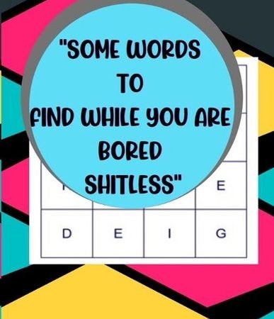 "Some Words to Find While You Are Bored Shitless": Word Puzzle Book For Adults &