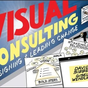 Visual Consulting: Designing and Leading Change by Sibbet