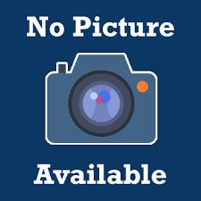 Word Search Puzzles for Seniors - Extra Large Print:Special Edition:250 Puzzles