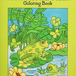 HIDDEN PICTURE PUZZLE COLORING BOOK (DOVER CHILDREN'S By Anna Pomaska **Mint**