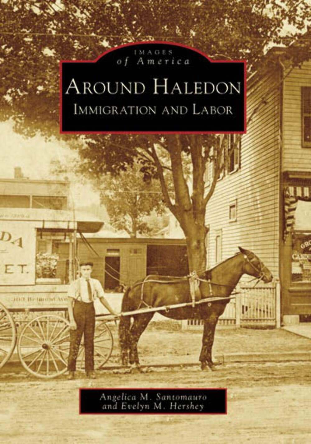 NEW Arcadia Publishing Around Haledon, NJ 9780738557090 Images of America Trade