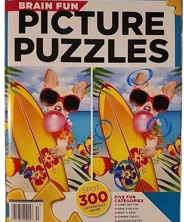 World's Favorite Puzzle Craze Brain Fun Picture Puzzles