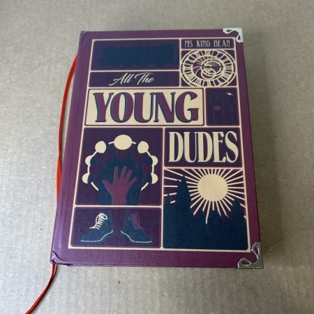 All The Young Dudes by Ms King Bean Fan Fiction Bestseller Book 1 HC