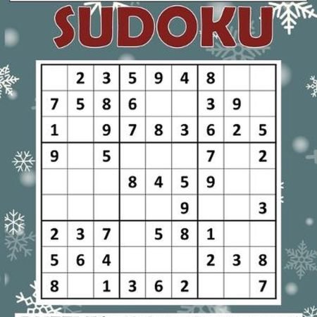 Winter Sudoku Puzzles Book For Adults: Medium to Hard Sudoku Puzzles with Soluti