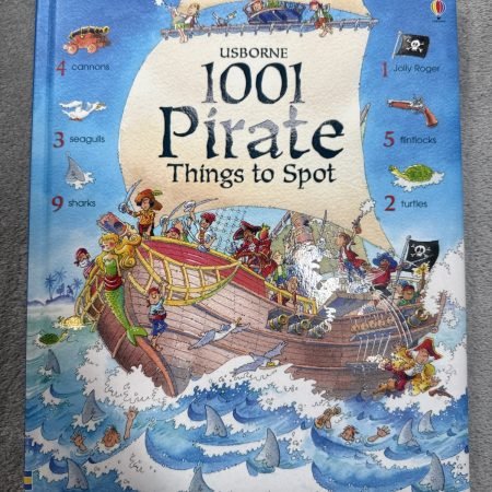 1001 Pirate Things to Spot by Rob Lloyd Jones (2007, Hardcover)