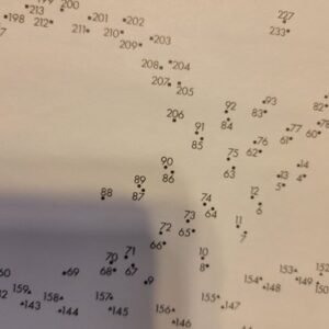 Blissful Dot 2 Dot Large Print Puzzles -Current Issue-11,000+ Dots -Easy to Read