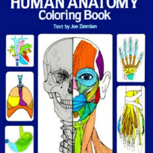Human Anatomy Coloring Book (Dover Children's Science Books) - VERY GOOD