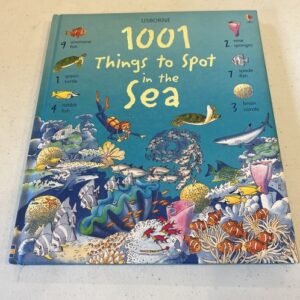 1001 Things to Spot in the Sea by Katie Daynes (2009, Hardcover)
