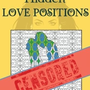 HIDDEN LOVE POSITIONS ADULT COLORING BOOK (ADULT ADULT By Lara Faye *BRAND NEW*