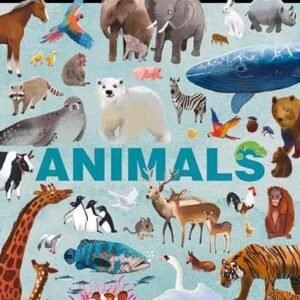 Animals (Search and Learn) - Hardcover, by Clever Publishing - Good
