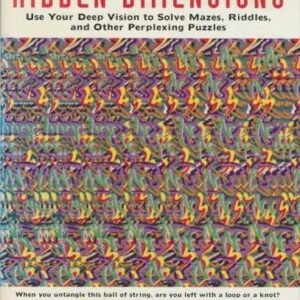Hidden Dimensions: Use Your Deep Vision to Solve Mazes, Aiddles