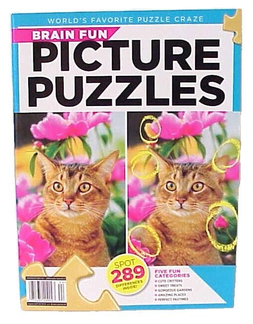 BRAIN FUN PICTURE PUZZLES BOOK SPOT 289 DIFFERENCES INSIDE! PUZZLE CRAZE NEW