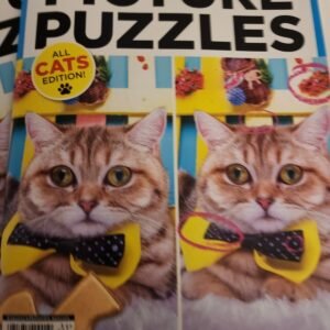 Brain Fun Picture Puzzles : All Cats! by Michèle Filon
