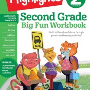 Second Grade Big Fun Workbook: 256 Pages of Puzzle-Based Practice in M Paperback