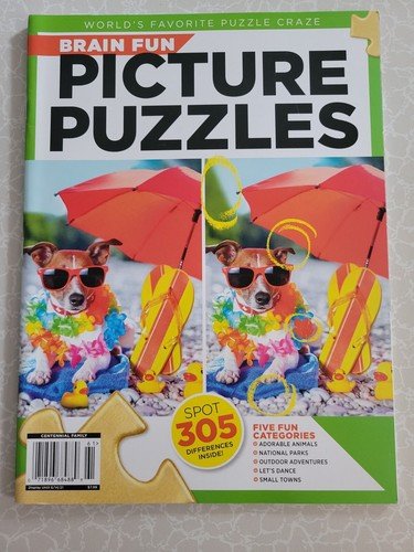 Brain Fun Picture Puzzles: Bundle of 2 – 63 Pages  & 5 Categories of Fun In Each