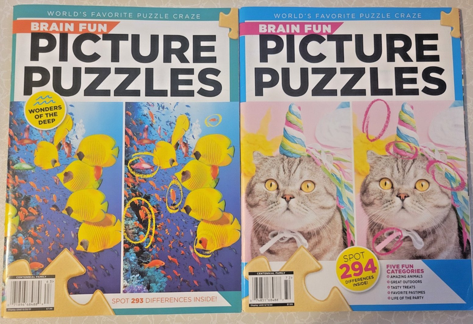 Brain Fun Picture Puzzles: Bundle of 2 – 63 Pages  & 5 Categories of Fun In Each