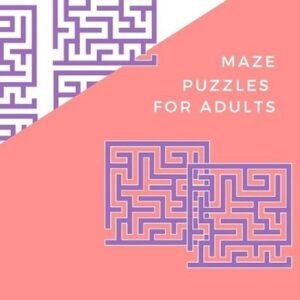 Maze Puzzles for Adults: Large Print: Fun and Challenging Puzzles (200 Advance L