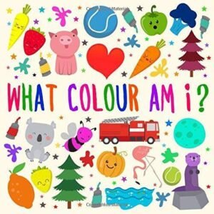What Colour Am I: A Fun Guessing Game for 2-4 Year Olds (Puzzle Books fo - GOOD