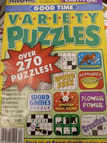 Brain Fun Picture Puzzles: Bundle of 2 – 63 Pages  & 5 Categories of Fun In Each