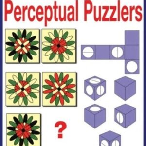 Perceptual Puzzlers Paperback L. B. Lang