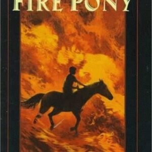 Puzzles to Cuddle (Puzzle Books), Small, Tat