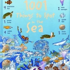 1001 Things to Spot in the Sea by Daynes, Katie