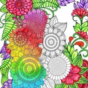 Wonderful Flowers Coloring Book for Adults: An Adult Coloring Book for Stress Re