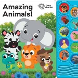 Baby Einstein - Follow Me Maze Sou- 1503711080, board book, Editors of Phoenix I