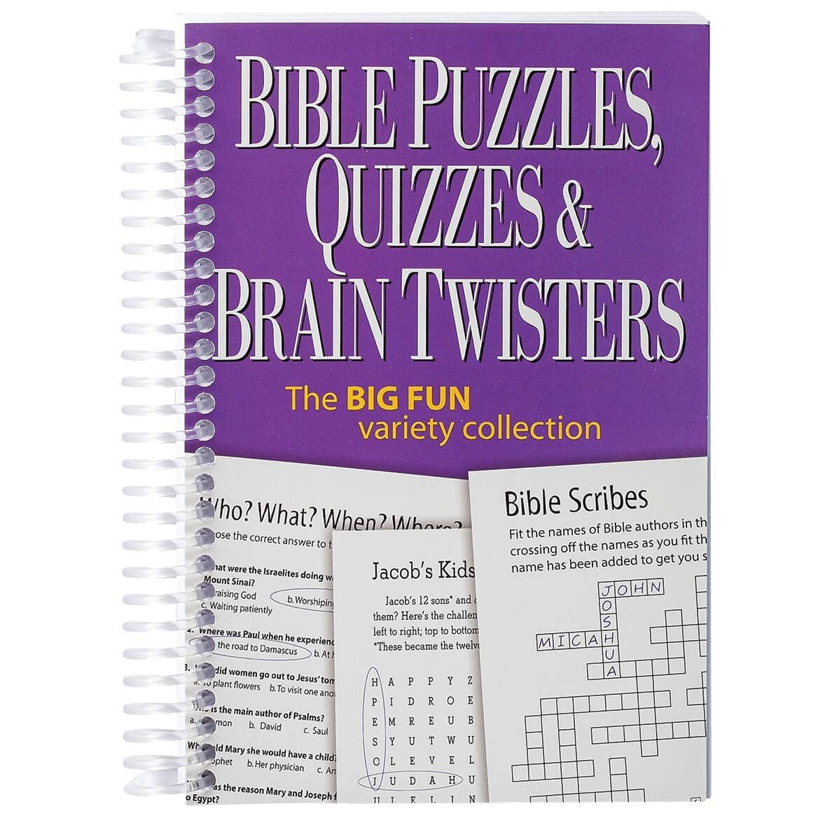 Bible Puzzles, Quizzes & Brain Twisters: The Big Fun Variety Collection