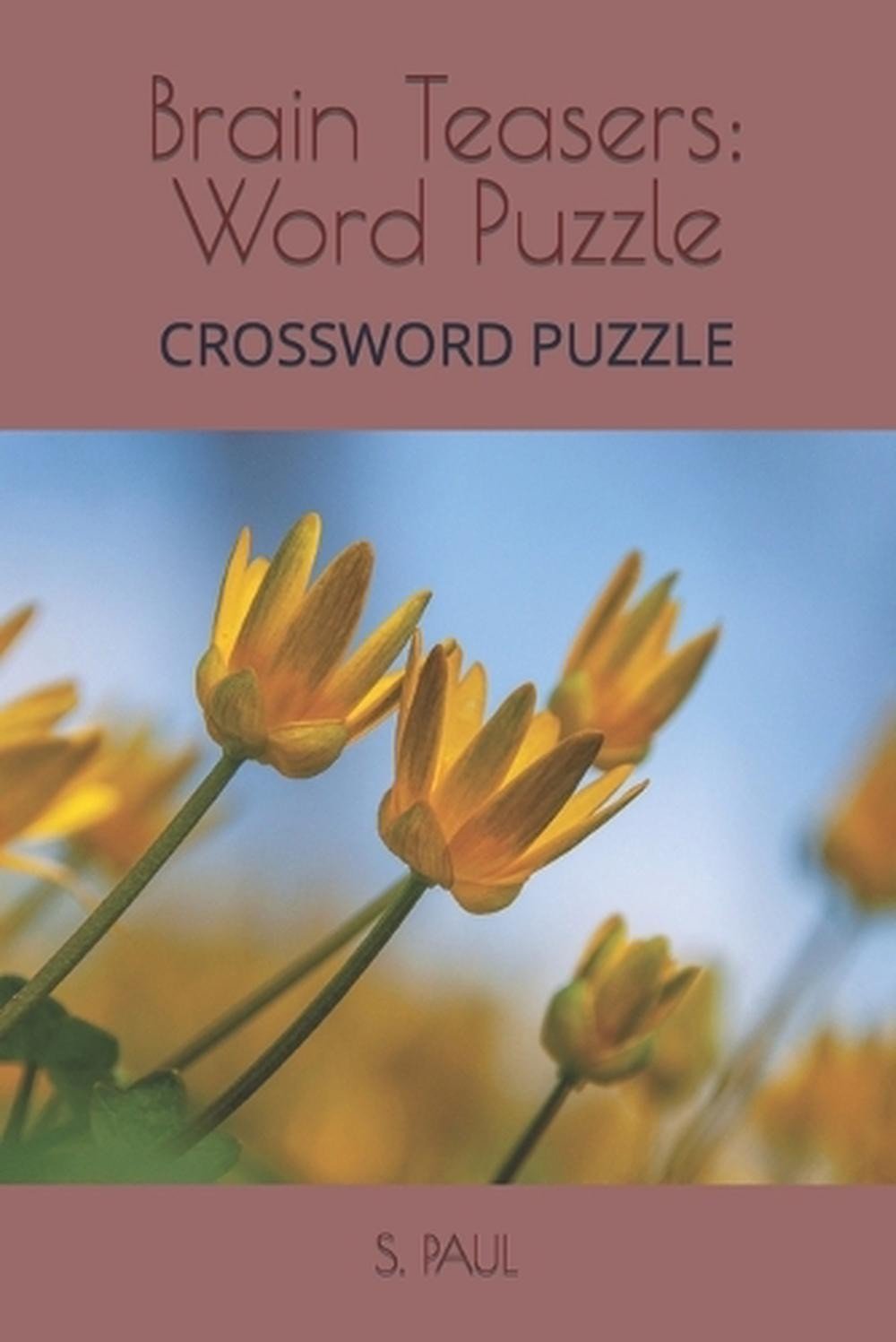 Brain Teasers: Word Puzzle by S. Paul Paperback Book