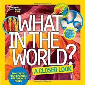 WHAT IN THE WORLD: A CLOSER LOOK: FUN-TASTIC PHOTO PUZZLES By National NEW
