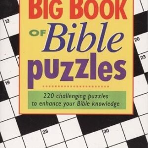 BIG BOOK OF BIBLE PUZZLES By Terry Hall **Mint Condition**