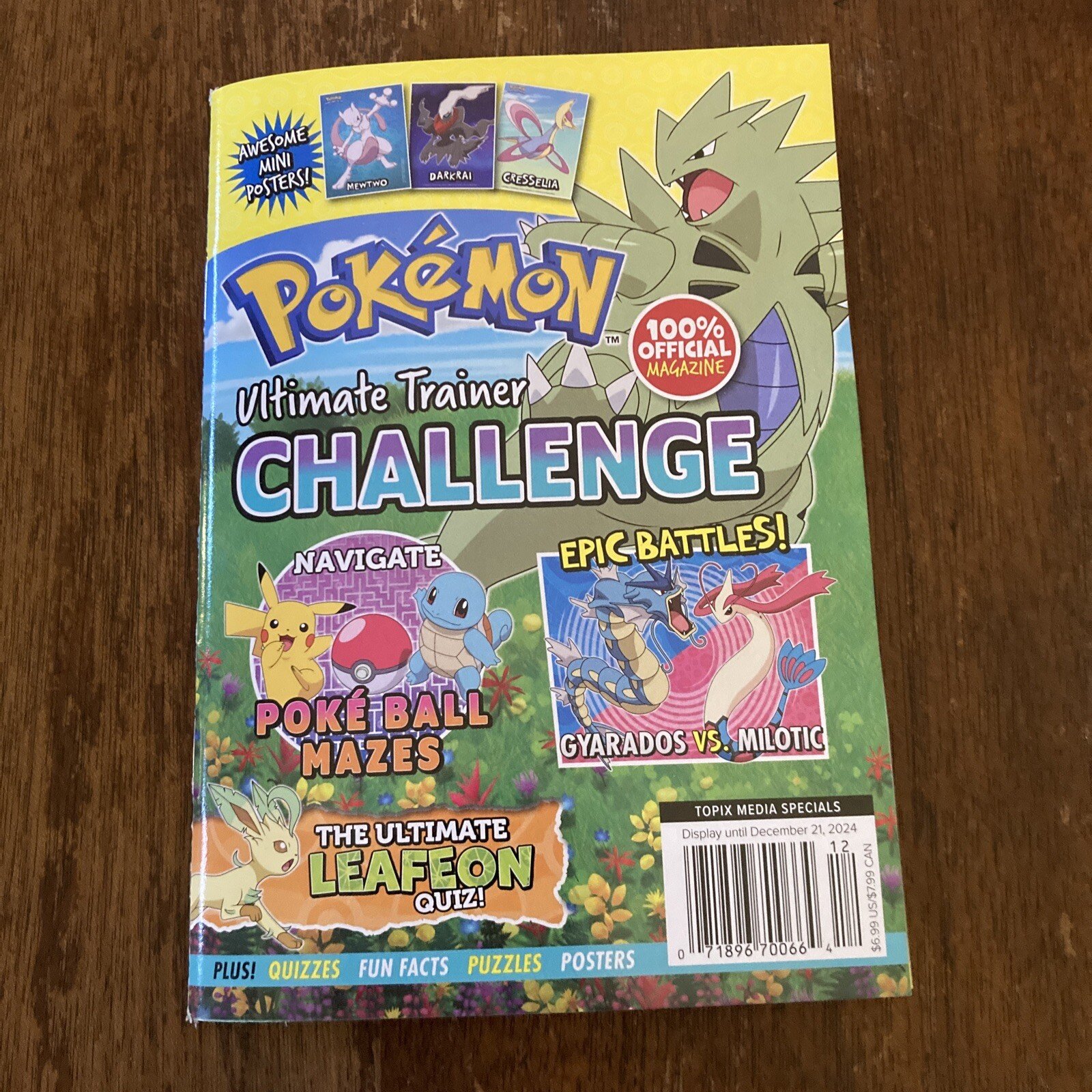 POKEMON Mini MAGAZIN Eiltimate Trainer Challenge Fun Facts Puzzles & More