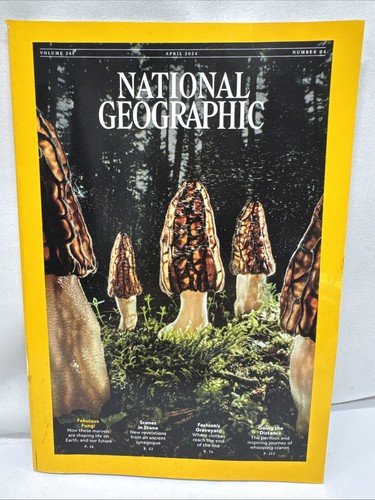 NATIONAL GEOGRAPHIC MAGAZINE 4/2024-BUGS-FABULOUS FUNGI-WHOOPING CRANES-PHOTOS